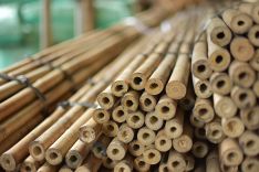 Bamboo stakes 210cm (100pcs)