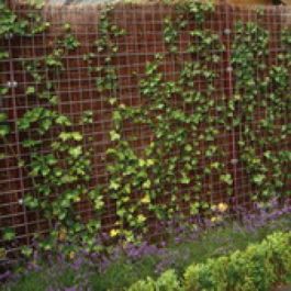 Betongaas thermisch verzinkt 180x180cm