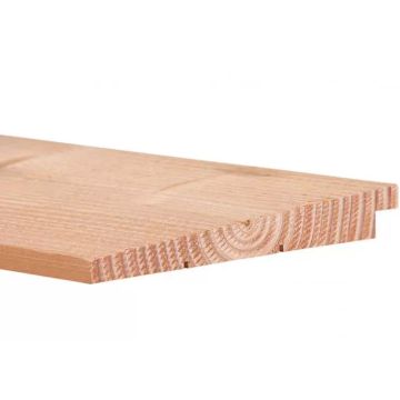 Nut und Federbretter Douglasie 500cm