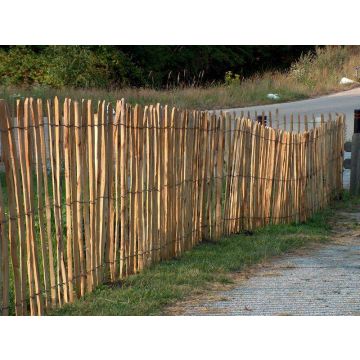 Ganivelle clôture chataignier 1,8x5m (4/5cm)