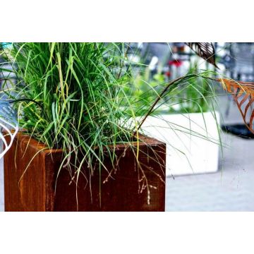 Jardiniere acier corten carré 47x47x50cm