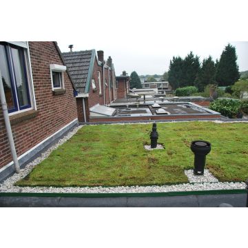 Groendak Sedummixmat per m2