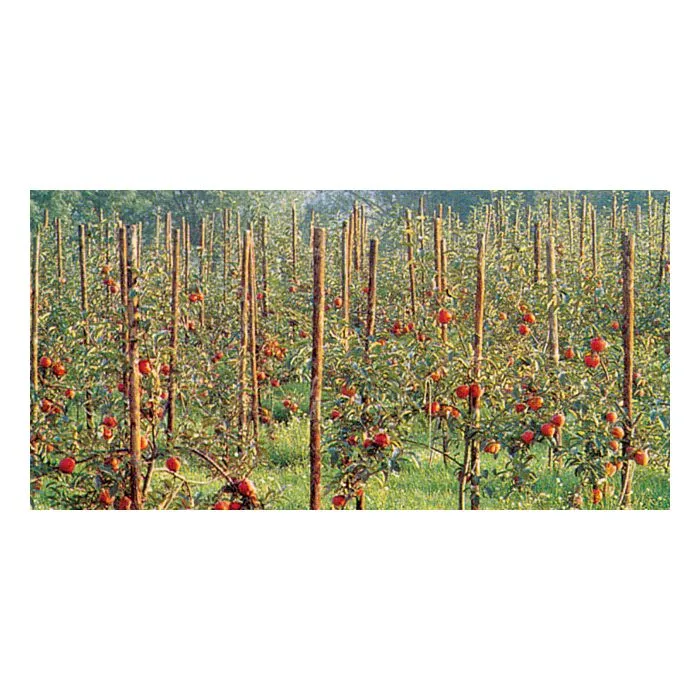 Rundholz Palisaden impragniertes ø8x160cm