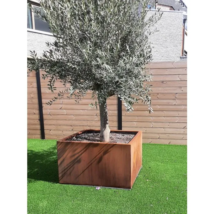 Blumenkasten Cortenstahl Pflanzkasten viereckig 80x80cm