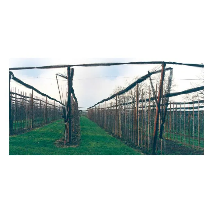 Rundholz Palisaden ø8x250cm