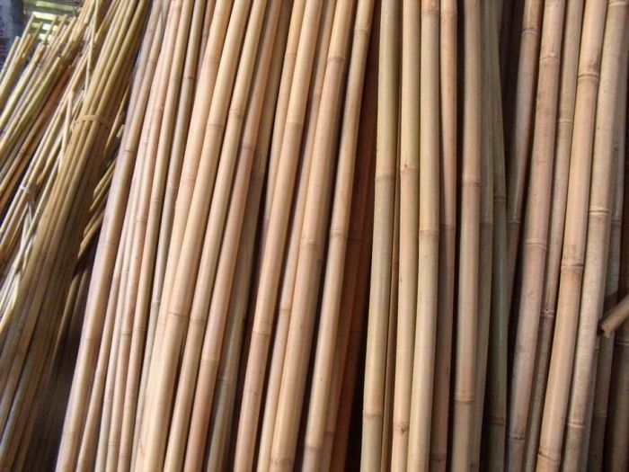 Bamboo stakes garden
