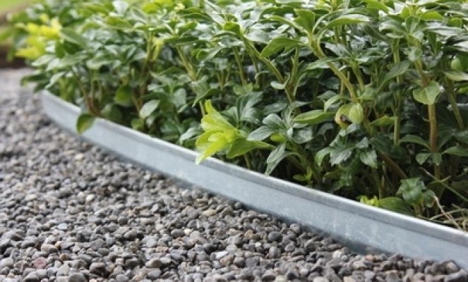 Borduras acero galvanizado importación directa