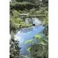 Teichbecken 120x80cm/150ltr