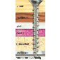 Dynaplus Chipboard-screw 5.0x80/42mm (100pcs.)