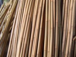 Tuteurs en bambou 240cm 80-90mm (4pcs)