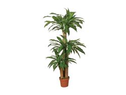 Plantes artificielles Dracena 145cm