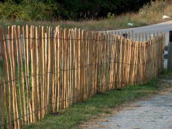 Chestnut fencing rolls  150x500cm (4/5cm)