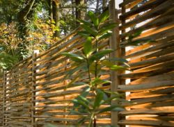 Chestnut fence panels 180x150cm