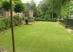 Artificial grass highest quality per m2