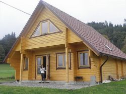 Holzhaus Ferienhäuser Blockhaus 8.8x7.8m (94mm)