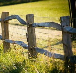 Chestnut Post and Rail Fencing 290cm