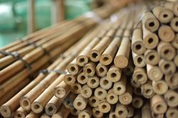 Bamboo stakes ø20/22mm 305cm (25pcs)