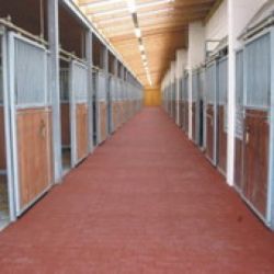 Horse stable mats red 100x100cm