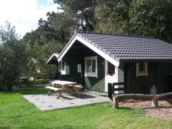 Holzhaus Ferienhäuser Blockhaus Harvard 4.97x4.57m (50mm)