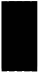 Portillon jardin douglas noir 90x180cm