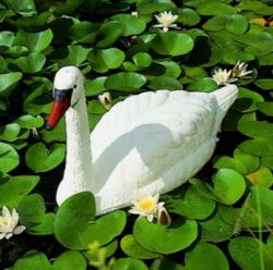 Pond decoration Swan