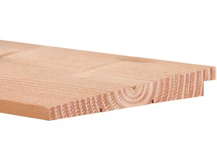 Douglas Zweeds rabat potdekselplanken 300cm (10 24x195mm)