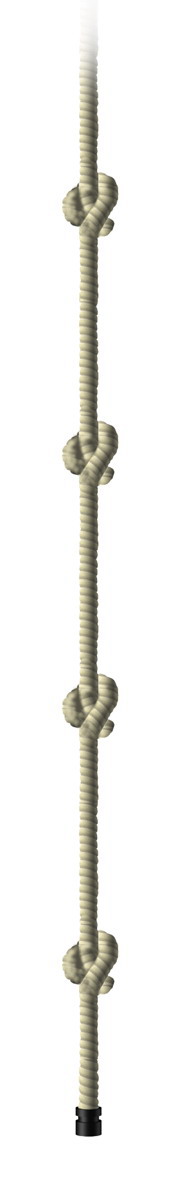 Deal Detail