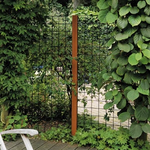 Betongaas met klimplanten